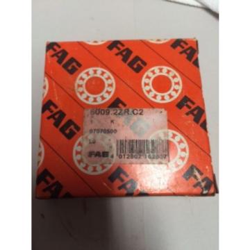 6009ZC2 ONE SHIELD FAG BALL BEARING