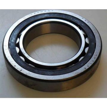 FAG Bearing NU218E-TVP2  &gt;&gt;&gt;NEW&lt;&lt;&lt;  NU218E   TVP2