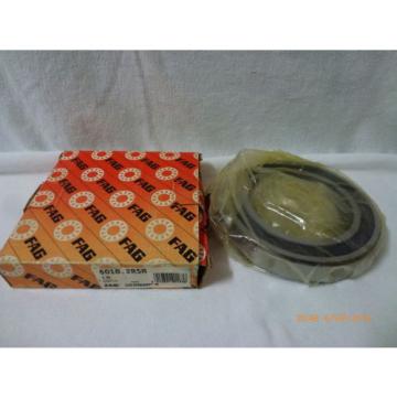 FAG 6018.2RSR Cylindrical Deep Groove Ball Bearing 1N 029715 New