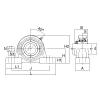 UCPL-1.3/4 NTN SPHERICAL ROLLER NTN JAPAN BEARING