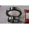 CONSOLIDATED FAG BEARING 65MM X 100MM X 18MM NU-1013 M P/5, NU1013 NTN JAPAN BEARING #4 small image