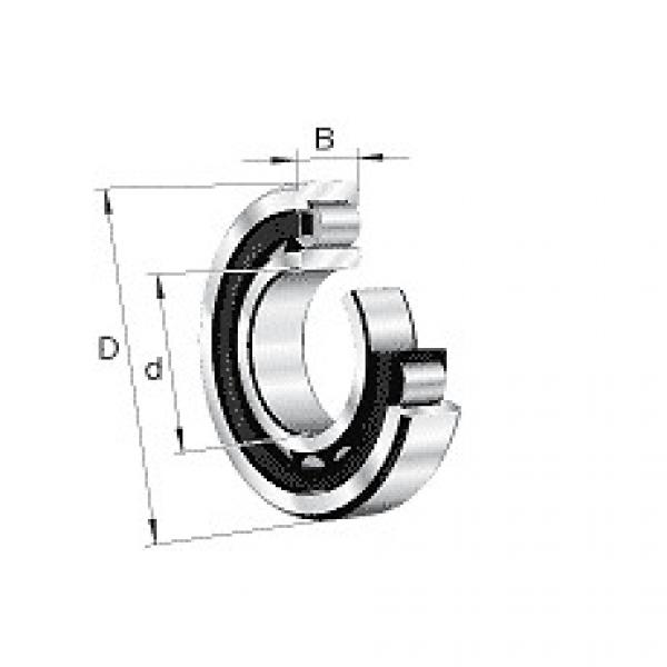 NU2232-E-M1A-C3 FAG Cylindrical roller bearing #5 image